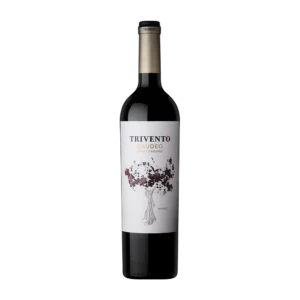 Trivento Gaudeo Altamira Malbec