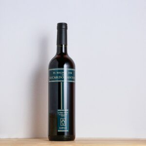 Ricardo Santos Malbec