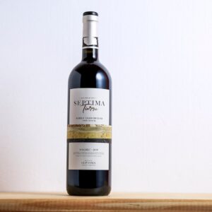 Septima Tierra Malbec