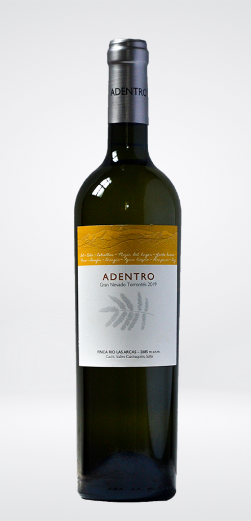 Adentro Gran Nevado Torrontés