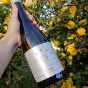 Cielos De Gualjaina Chardonnay