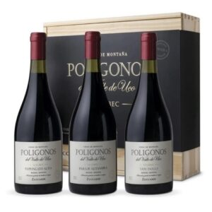 Estuche Polignos Mix