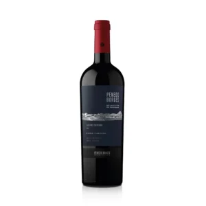 Penedo Borges Seleccion De Parcela Cabernet Sauvignon