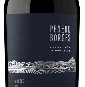 Penedo Borges Selección De Parcelas Malbec