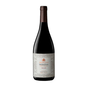 Salentein Numina Spirit Vineyard Pinot Noir
