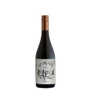 Paso A Paso Los Abandonados Pinot Noir