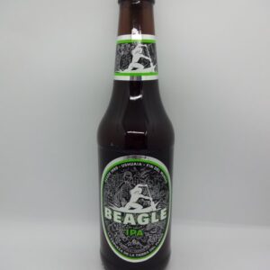 Beagle Ipa