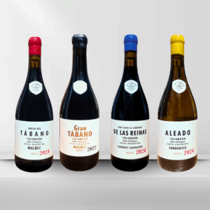 Estuche Mix Tolombon x 4