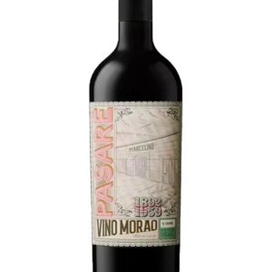 Yacochuya Pasare Malbec
