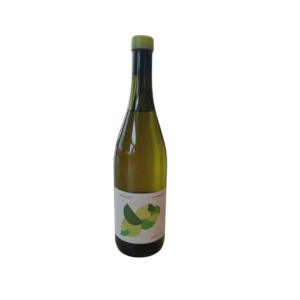 Bodega Costa Patagonico Riesling